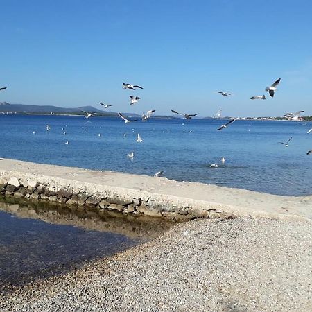 Anna Daire Biograd Na Moru Dış mekan fotoğraf
