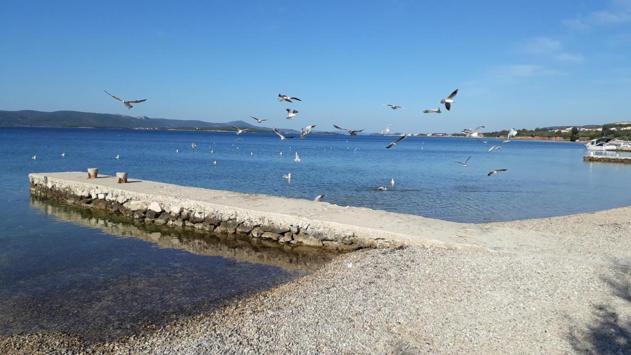 Anna Daire Biograd Na Moru Dış mekan fotoğraf