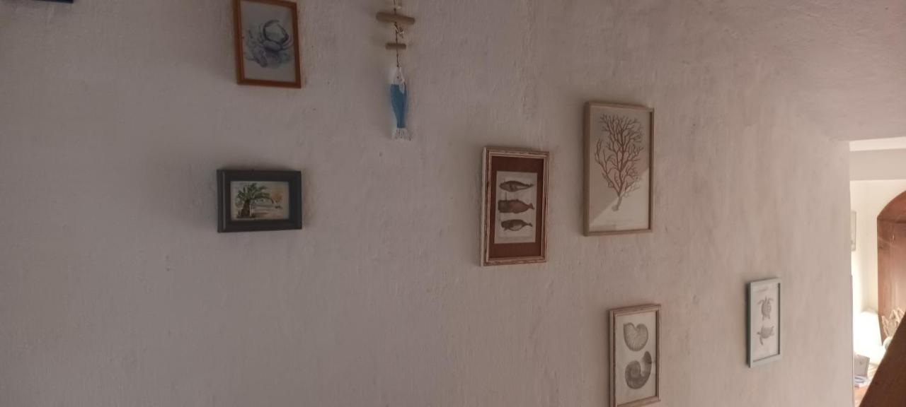Anna Daire Biograd Na Moru Dış mekan fotoğraf
