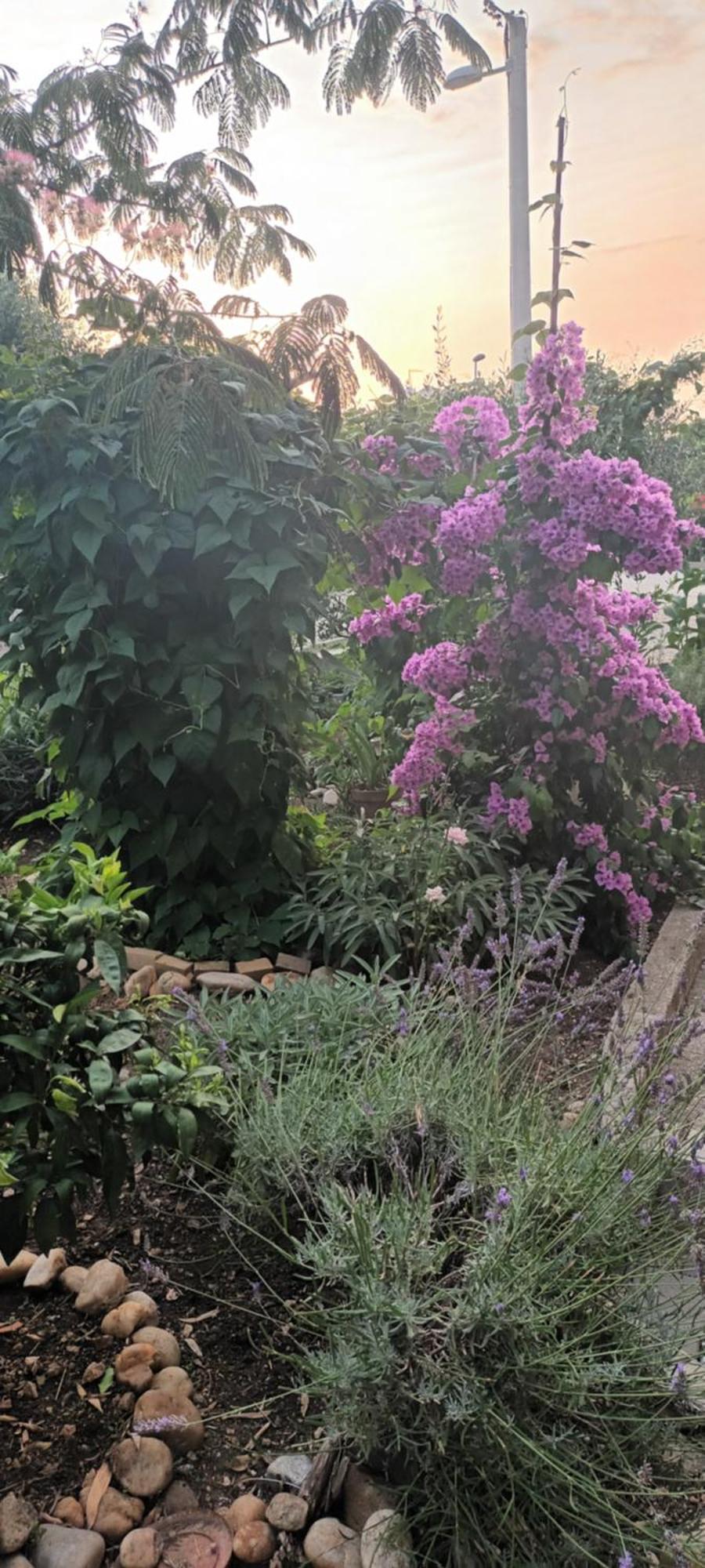 Anna Daire Biograd Na Moru Dış mekan fotoğraf
